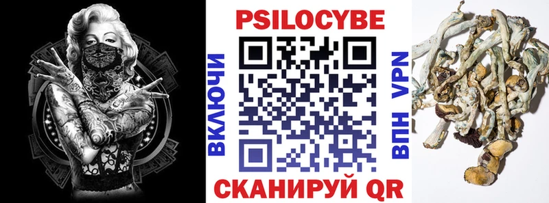 даркнет сайт  Багратионовск  Галлюциногенные грибы MAGIC MUSHROOMS 
